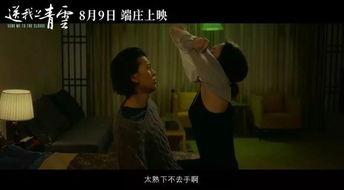 国产黄电影,揭秘中国电影市场的独特魅力与挑战